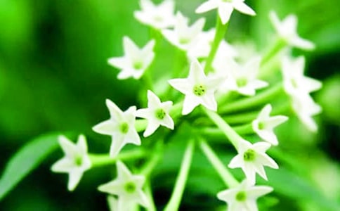 �P(gu��n)��ҹ���������