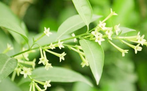 �P(gu��n)�ڽ�Bҹ���������