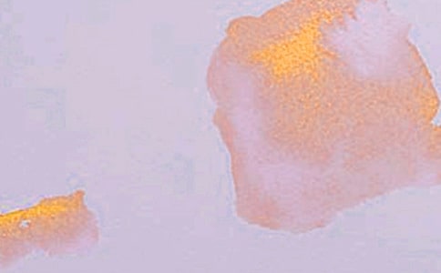 小學(xué)五年級(jí)藝術(shù)下冊(cè)說(shuō)課稿