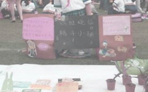 愛(ài)心義賣活動(dòng)方案15篇