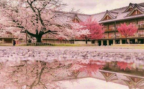 �P(gu��n)���茑(xi��)�ѻ�������