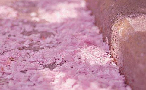 �ѻ����µ�ӛ������200��