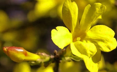 ӭ�����^����ӛ������ƪ