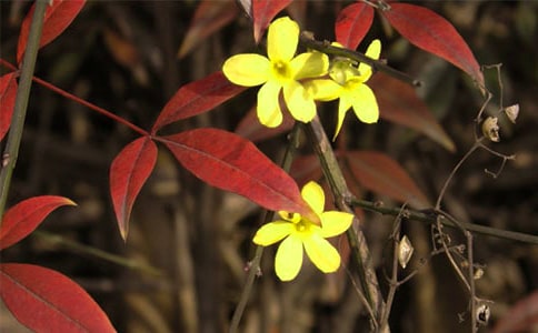 ӭ�����^����ӛ