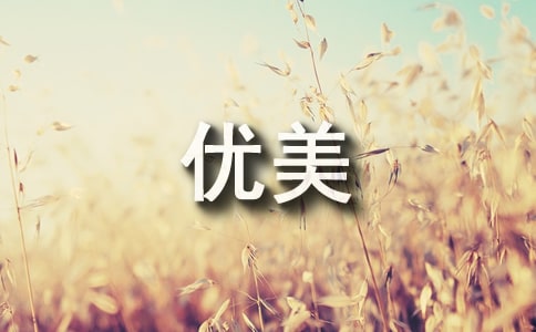 用于總結(jié)的開頭和結(jié)尾的優(yōu)美句子
