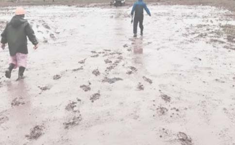 油田技術(shù)員述職報告大全