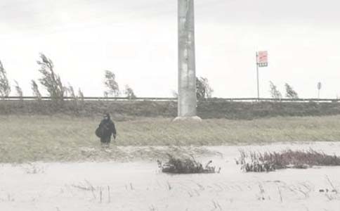 �����������37�K�͝B͸�Ͳظ�Ч�_�l(f��)���g(sh��)