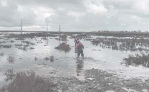 煙氣含氧自動調(diào)節(jié)技術(shù)在油田注汽鍋爐上的應(yīng)用