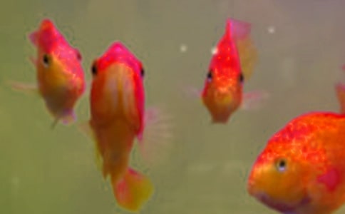 �~(y��)���~(y��)�N�\(y��n)ݔ���g(sh��)Ҫ��