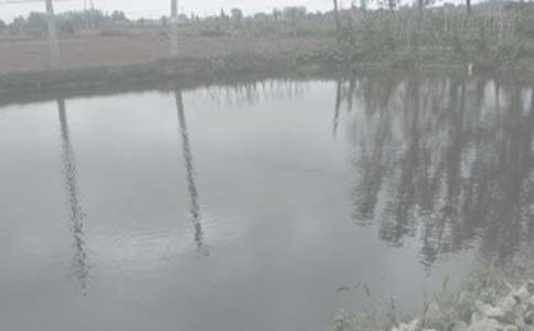 �~����(j��ng)�I�а���ͬ