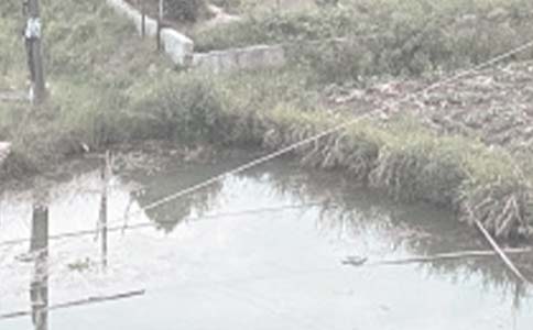 魚塘轉(zhuǎn)讓協(xié)議書