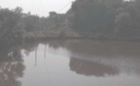 農(nóng)村魚塘承包合同必備15篇