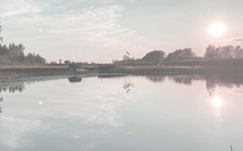 �P���������~������350��