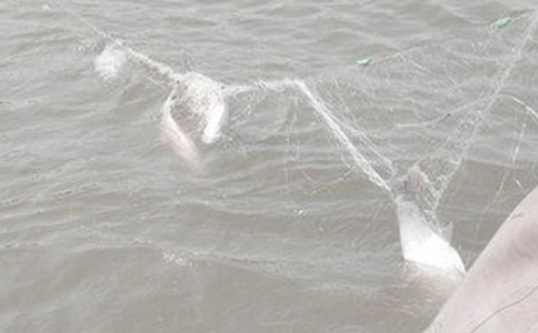 難忘的漁網(wǎng)編織敘事作文