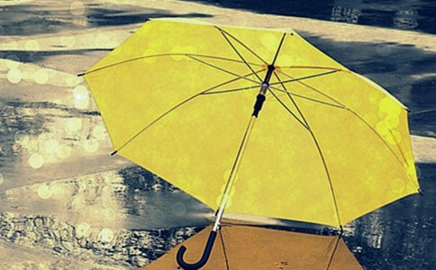 ������������\(ch��ng)���w�P(y��ng)�����(d��ng)�߄���