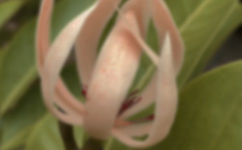 ��ϲ�g���m������