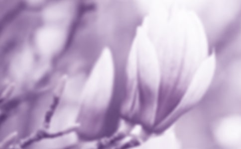 ���m���^����ӛ