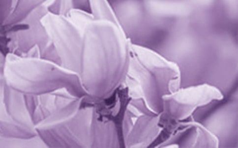 ���m�����_(k��i)ɢ��