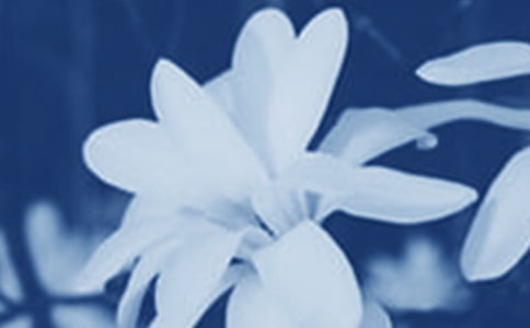 �^�����m����ӛ�����x10ƪ��