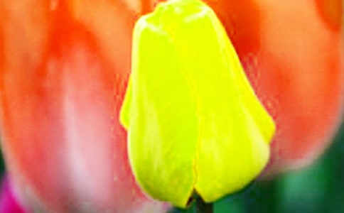 �P(gu��n)���茑(xi��)����������ķ���