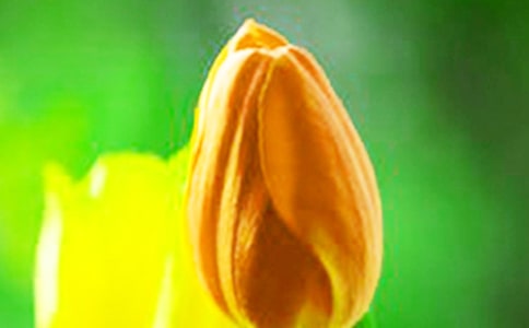 �P(gu��n)������������