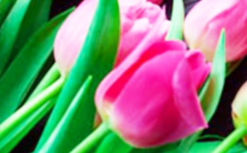 �^��ֲ������������