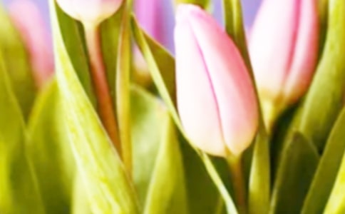 �^�����������ӛ