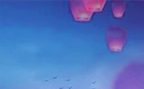 �[Ԫ���ֳ���