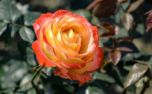 �^����ӛ�¼���