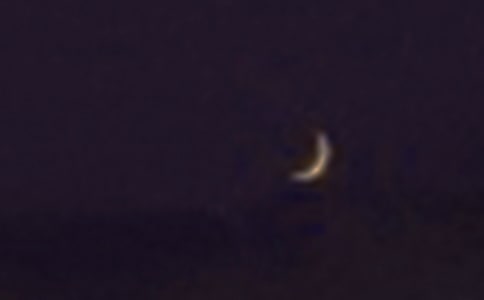 ����������300��(�\��6ƪ)