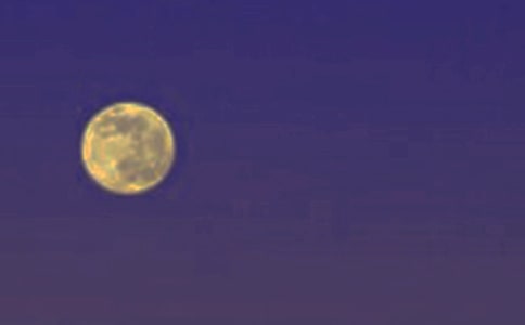 關(guān)于月圓的作文300字3篇