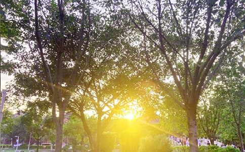 �����A���m�����ϰl(f��)���簲�����Z����28�l