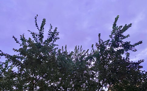 ���ε����õ��簲�����Z�\��44��