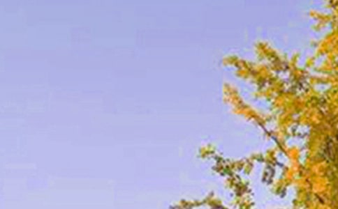 2026年經(jīng)典唯美的早安問候語50句