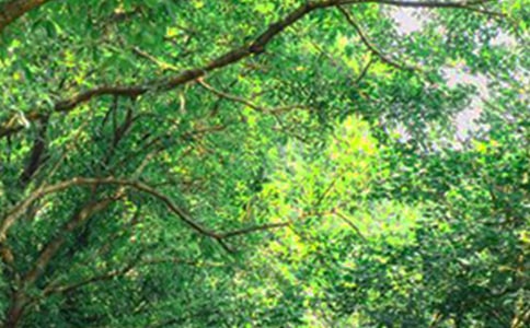 【推薦】2026年早安問候語短信19句