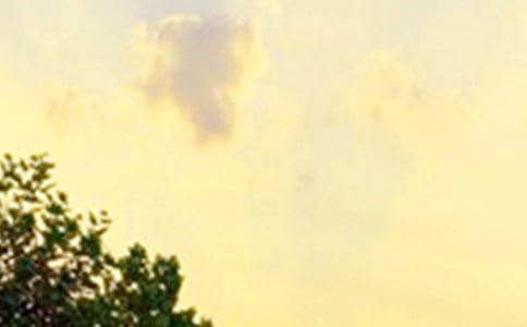 優(yōu)美的早安心語