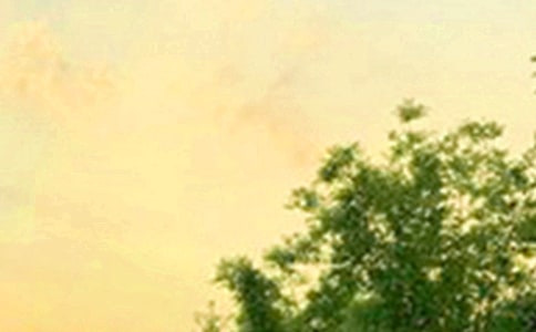 2023�����õ��簲�����Z�Z�ժ�36�l