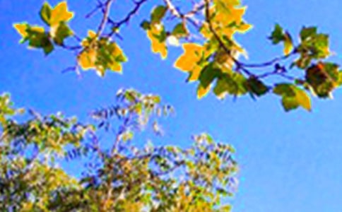 �����簲�Ć����Z