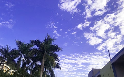 ��ܰ�簲�����Z��ȫ