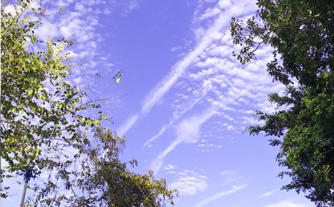 �����]�����õ��簲�����Z���ŅR��59�l