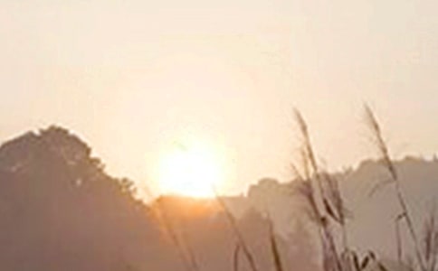 簡短的溫馨的早安朋友圈問候語25句