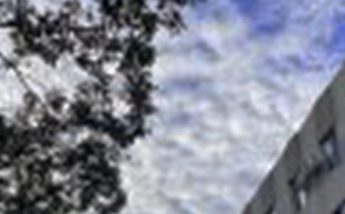 �����A��2025���(d��ng)�˵��簲���Z����42�l