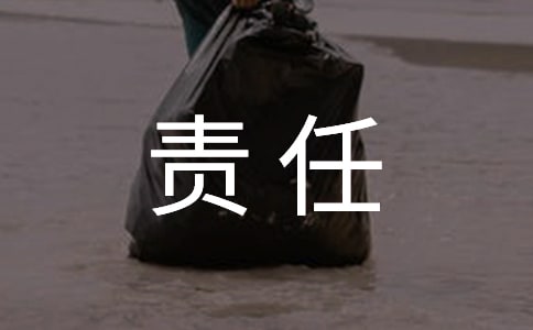 貨車駕駛員責(zé)任書(精選10篇)