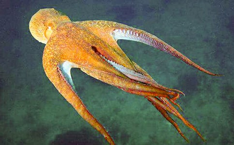 С�W(xu��)�����ģ����~�Ĺ��£����x22ƪ��