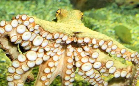 ���~��ʧ֮�i����