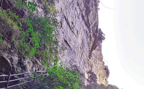 張家界游記作文合集【14篇】