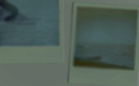 我喜歡的照片200字作文