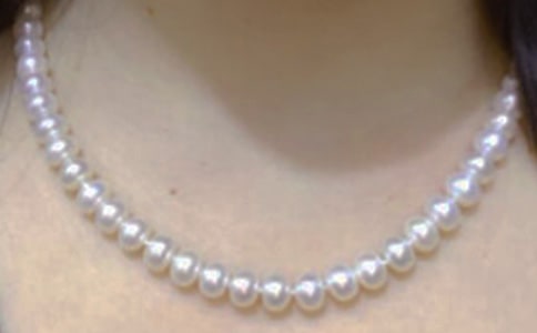 把傷痛變珍珠作文