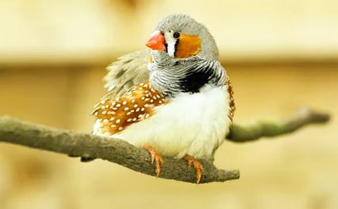 25�������B��