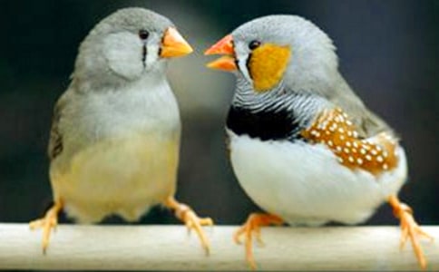 �������B���x���(���\15ƪ)